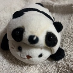 近場の方