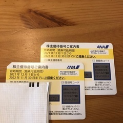 ANA 国内線50%OFF券 2枚