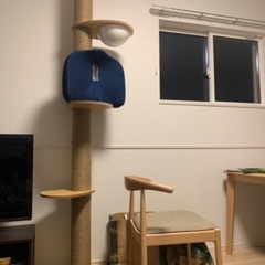 キャットタワー