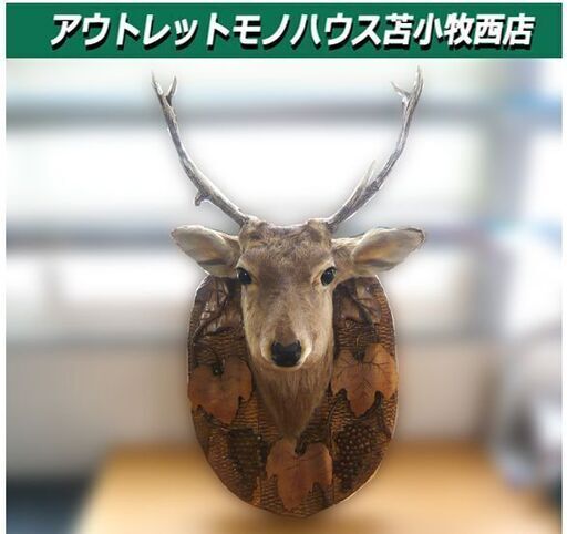 鹿 ハンティングトロフィ 剥製 彫刻 木製台 中古 コレクション 苫小牧西店