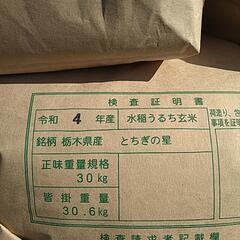 【完売御礼❗❗】令和4年産🍚とちぎの星　玄米30kg 配達します❗