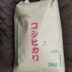 2020年産コシヒカリ精米古古米5キロ②