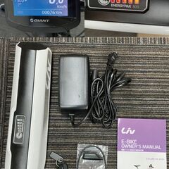 売約済！GIANT ESCAPE RX W-E+ サイズXXS　電動アシスト自転車 の画像