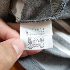 THE NORTH FACE（ノースフェイス）グレーボーダーTシャツの画像