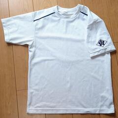 南アルプス市 小笠原小学校 男児中古1枚700円