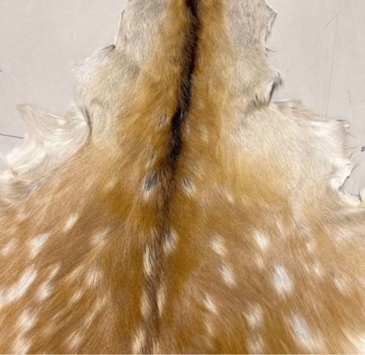 鹿皮 エゾシカ蝦夷鹿 夏毛【毛皮敷物】 送料無料