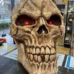 ⭐️オススメ⭐️ガイコツ 置物 オブジェ ドクロ 特大サイズ！ 