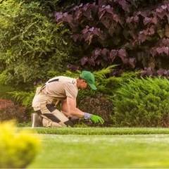 【川越市発】造園業経験者。お庭の雑草・空き家の雑草・駐車の雑草を...