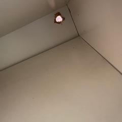 テレビ台(お話中)の画像