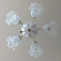 可愛い照明灯の画像