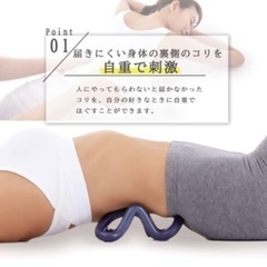 アルファックス 腰スッキリング ブルー 1個