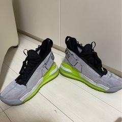 スニーカー　NIKE 27.5cmの画像