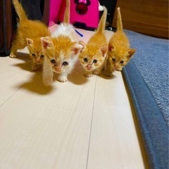 ☆沢山のお問い合わせありがとうございました☆