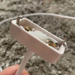 カピスシェルのペンダントライトの画像