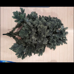 クリスマスツリー210cmの画像
