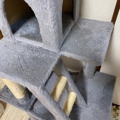 キャットタワー とトイレ2つの画像