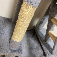 キャットタワー とトイレ2つの画像