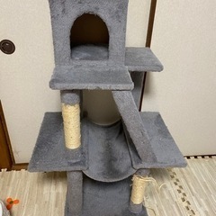 キャットタワー とトイレ2つの画像