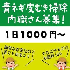 一時停止【配送分】青ネギ皮むき掃除の内職さん募集