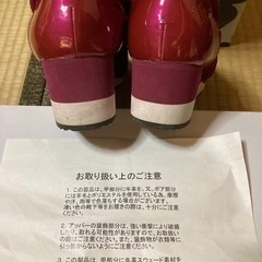 冬用キラキラ23.５の画像