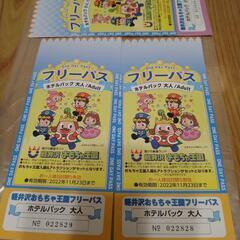 おもちゃ王国　大人2枚子供1枚　フリーパス