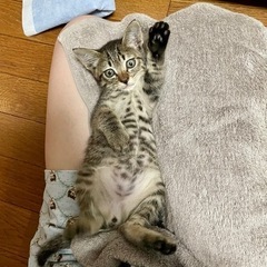里親さん決まりました🙇🏻‍♀️