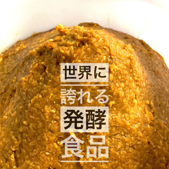 米麹、味噌、みりん体験教室1day!　若さは全て「手作りの腸活」から！（常総市）の画像