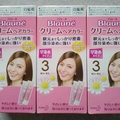 ☆毛染め　ブローネ　クリームヘアカラー　３個口☆
