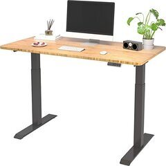 FLEXISPOT スタンディングデスク 電動式昇降デスク EJ...