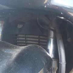 スカイウェイブ250 CJ43Aの画像