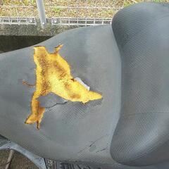 スカイウェイブ250 CJ43Aの画像