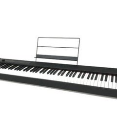 KORG D1 (18年製)