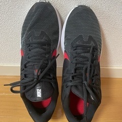 NIKEランニングシューズ29cm