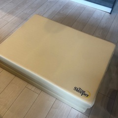 【極美品】トゥルースリーパー
