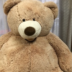クマのぬいぐるみ　大きいですの画像