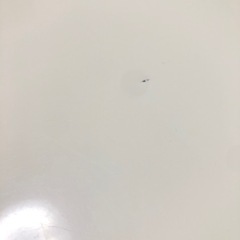 ミキモク　テーブルの画像