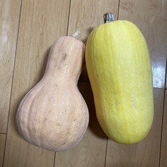 無農薬野菜
