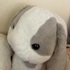 ポテウサロッピーぬいぐるみセットの画像