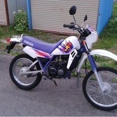 dt５０
