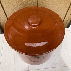 かめの画像