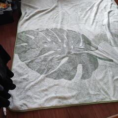 決まりました　190✕240㌢ラグ　引取りのみ！