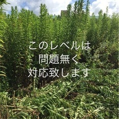 草刈り機で草刈ります　1坪100円　掲載NO① - 袋井市