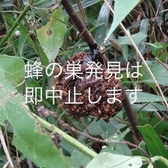 草刈り機で草刈ります　1坪100円　掲載NO① - 助け合い