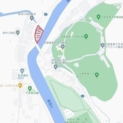 9月26日(月)・27日(火)／労働4h／賀茂川上流の雑草竹の刈り取りや苗木の植え付け等 ★1日だけでも歓迎！の画像