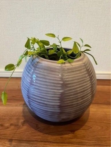 BoConceptボーコンセプト ガラス製フラワーベース 花瓶 インテリア