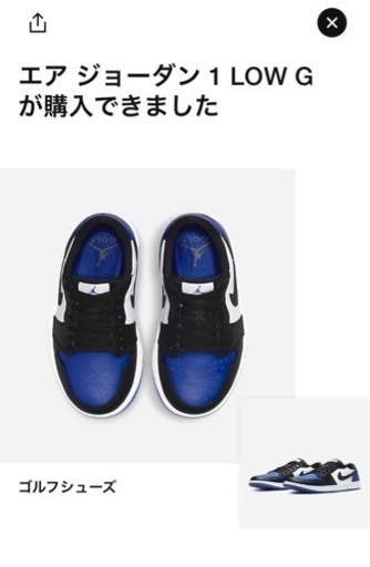 Nike Air Jordan 1 Low Golf 