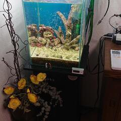 海水魚飼いたい初心者の方   かなりお値打ちセット 30×30×...