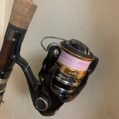 メジャークラフトトラウティーノ、ナスキーc2000sセット