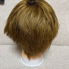 ヘッドマネキン①の画像