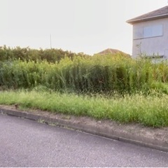 茨城県稲敷郡河内町 ＃105 不動産0円物件 - 不動産